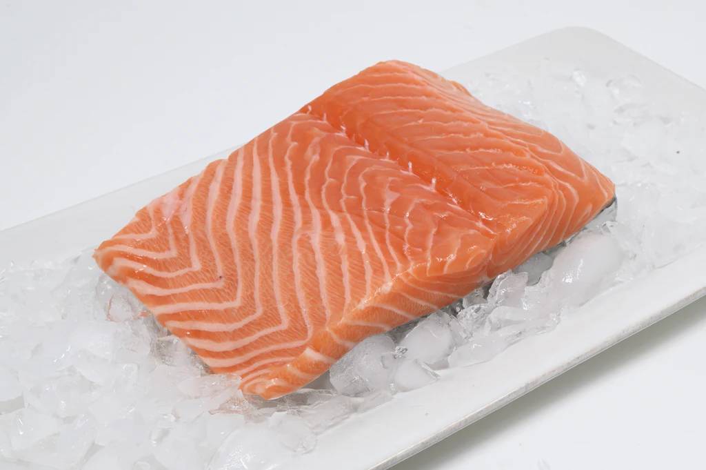 Salmon